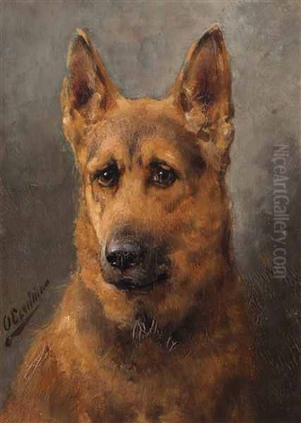 German Shepherd - view 1