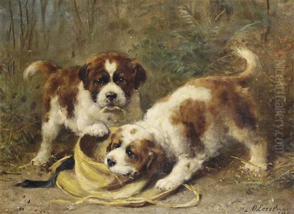 Two Saint-bernard Puppies Playing With A Hat - view 1