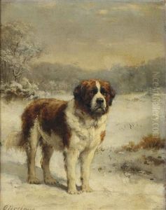A Saint-bernard In The Snow