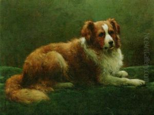 A Collie by Otto Eerelman