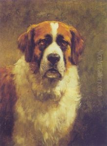 A St. Bernard Dog