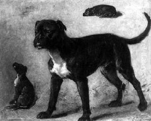 Studies Of A Boxer by Otto Eerelman