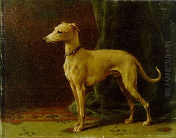 A Whippet - view 1