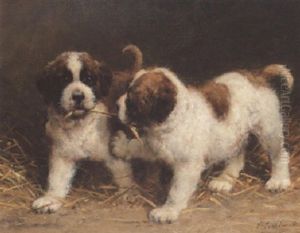 St. Bernard Puppies by Otto Eerelman