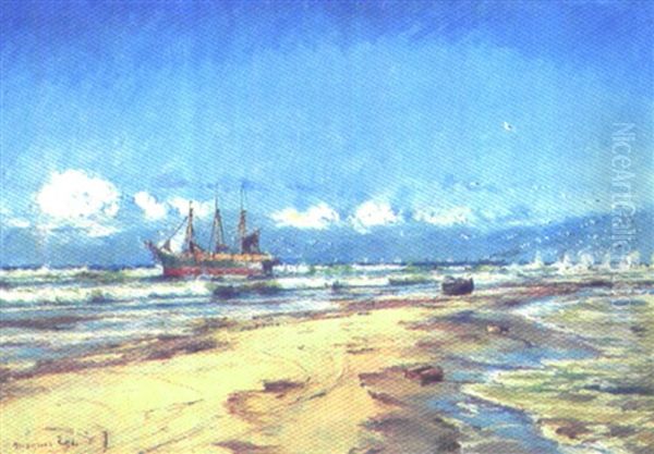 Marine, Parti Fra Grenen - view 1