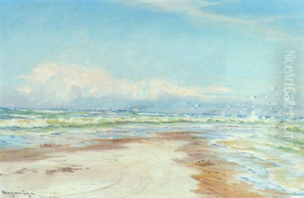 Marine Fra Grenen Med Skibe Pa Havet - view 1