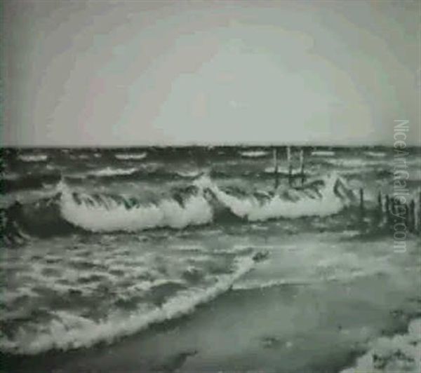 Strandparti Fran Bornholm - view 1
