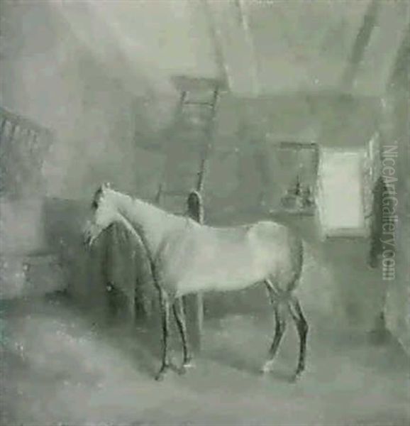 A Gray Hunter In A Stall - view 1