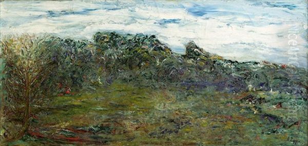Landschaft - view 1