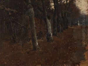 Alley In The Park