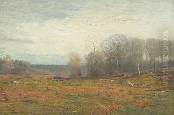 Autumn Haze - view 1