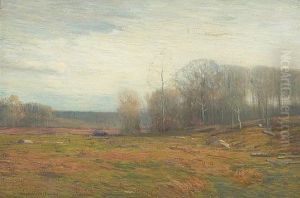 Autumn Haze