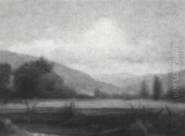 Pasture Stream - view 1