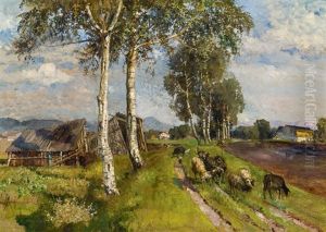 Sommer Im Salzburger Moor Sommer Im Salzburger Moor