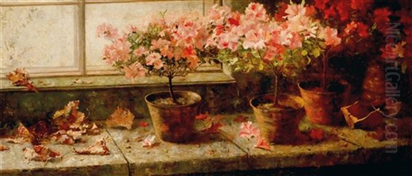 Flowering Azaleas By The Window - view 1