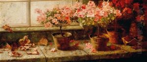 Flowering Azaleas By The Window