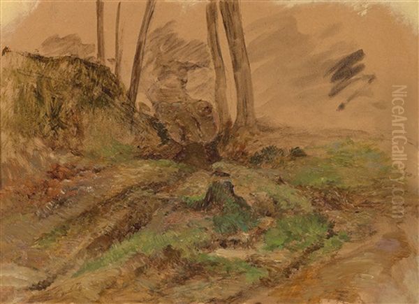 Woodland Study - view 1