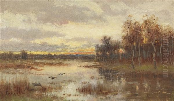 Kleine Moorlandschaft In Der Dammerung - view 1