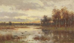 Kleine Moorlandschaft In Der Dammerung