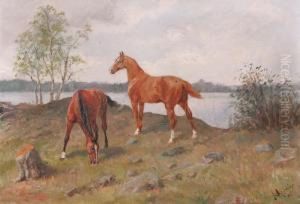 Betande Hastar by John Arsenius