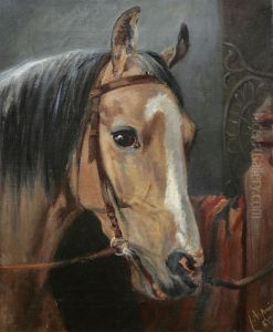 Haststudie by John Arsenius