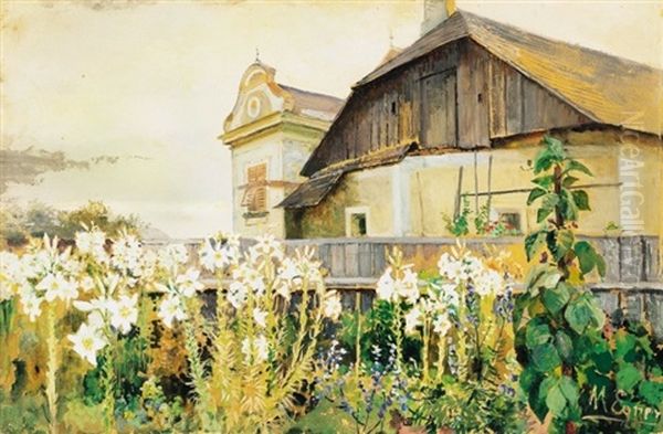 Viragzo Kert (blooming Garden) - view 1