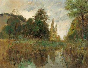 Aulandschaft Bei Stillfried