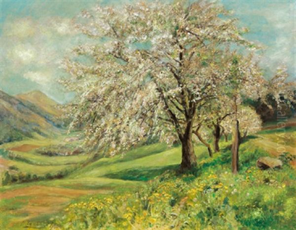 Fruhlingslandschaft - view 1