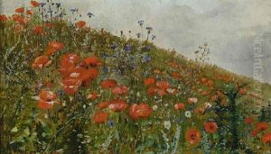 Mohnblumen Mohnblumen