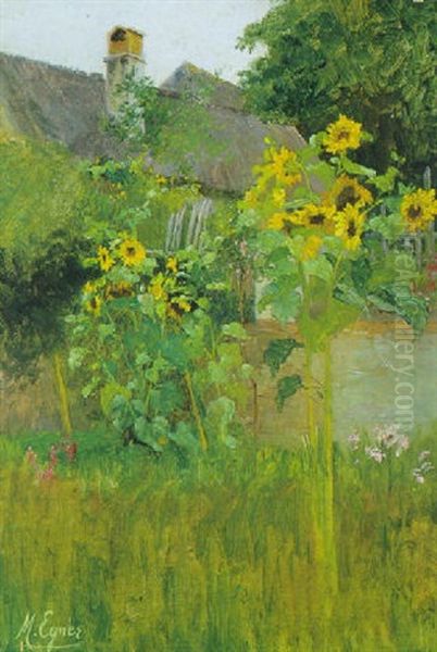 Sonnenblumen Im Bauerngarten - view 1