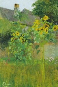 Sonnenblumen Im Bauerngarten