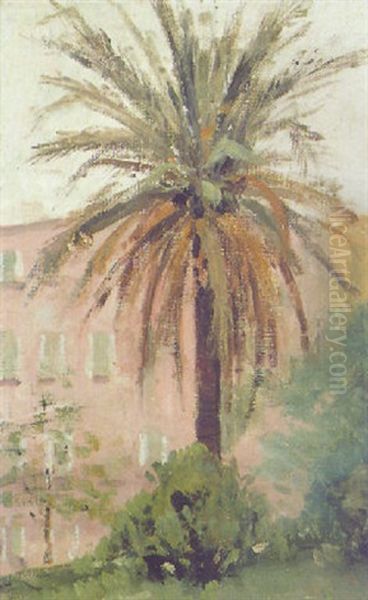 Palmen In Cannes - view 1