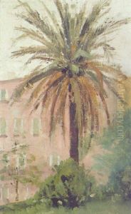 Palmen In Cannes