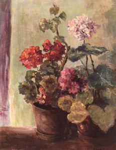 Pelargonien Pelargonien