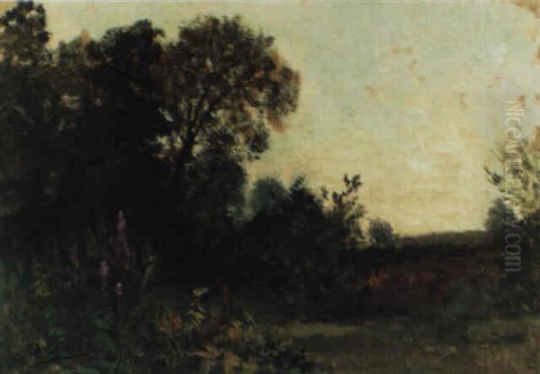 Landschaft Mit Bluhender Wiese - view 1