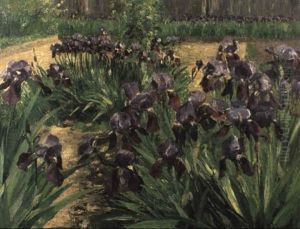 Schwertlilien Schwertlilien