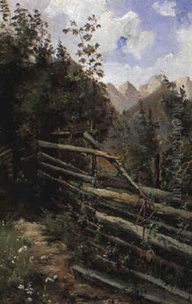 Wegzaun Bei Goisern - view 1