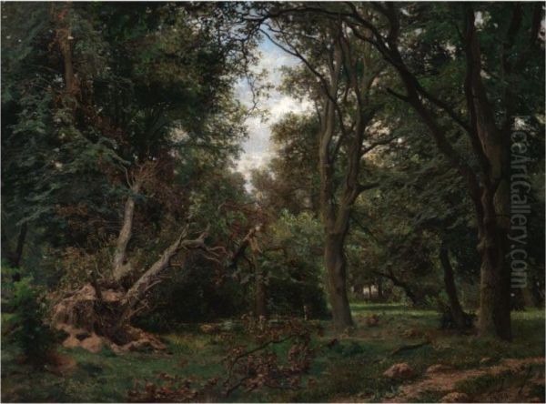 Forest Clearing - view 1