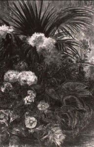 Fleurs