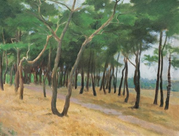 Light Wood - view 1