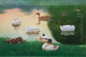 Ducks by Julius Von Ehren