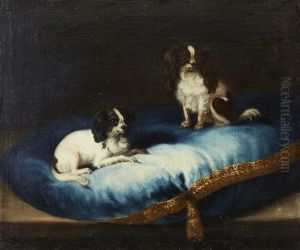 Nespellinia Och Dondon Nespellinia Och Dondon