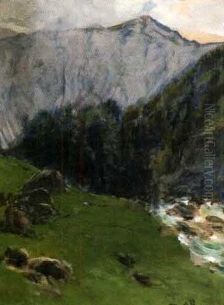 Gebirgslandschaft Mit Wildbach - view 1