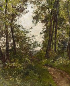 Waldweg Waldweg
