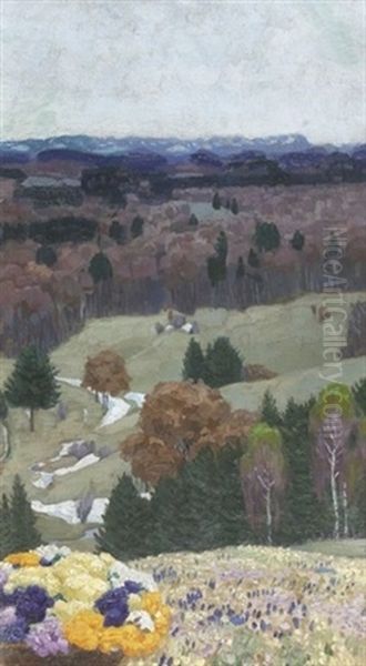 Landschaft Mit Blumenwiese - view 1