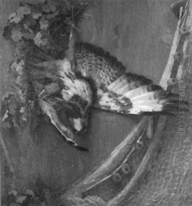 Stilleben Mit Bussard Stilleben Mit Bussard