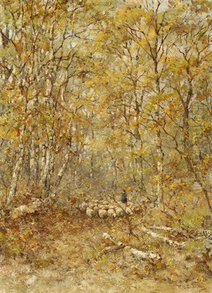 Shepherd With His Sheep In A Birch Forest - view 1
