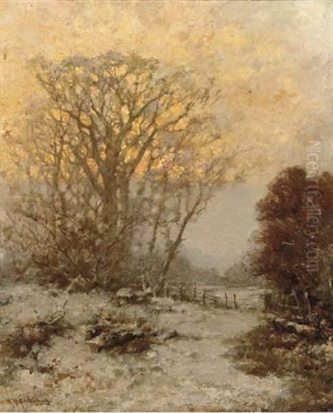 Sunset Over A Snowcovered Landscape - view 1