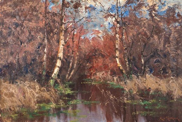 Im Darswald - view 1