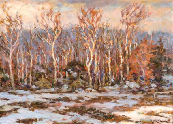 Winter Auf Dem Dars - view 1